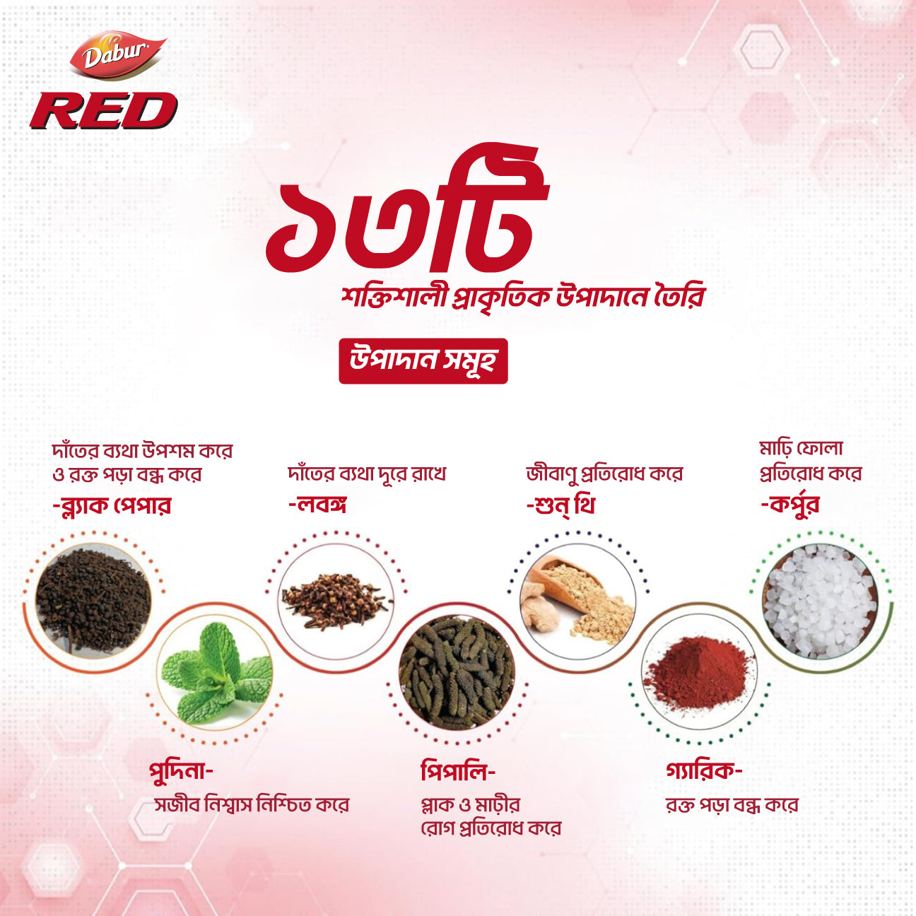Dabur Red Toothpaste